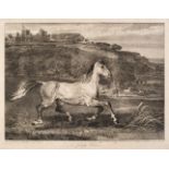 * Ward (James, 1769-1859). A Cossack Horse, 1823-24, lithograph, signed