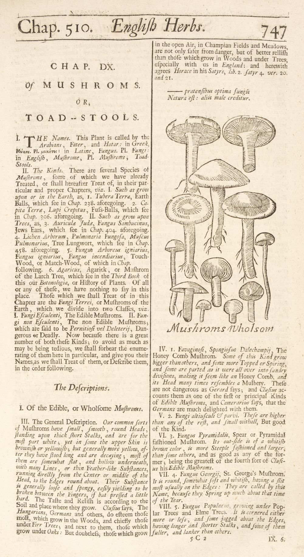 Salmon (William). Botanologia. The English Herbal, 1710