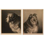 * Pratt (Joseph B.). Pair of Studies of Dogs, E. E. Leggall, 1886 & 1888