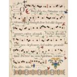 Antiphonal Leaves. A collection of 11 leaves, 17th & 18th century