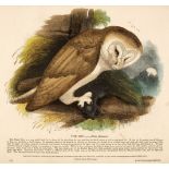 Whymper (Josiah). Prints Illustrative of Natural History, 5 volumes, [1843]