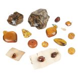 Amber. A collection of amber including a rough amber boulder
