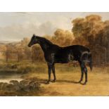 Herring (John Frederick, 1795-1865). Sheet Anchor, a Study of a Black Racehorse, 1838