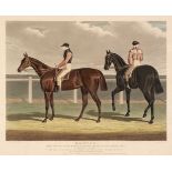 Equestrian. A collection of approximately 50 prints and engravings, mostly 19th & 20th century