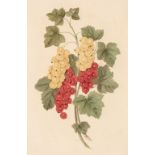 Brookshaw (George). Groups of Flowers, drawn and accurately coloured after nature..., 1819