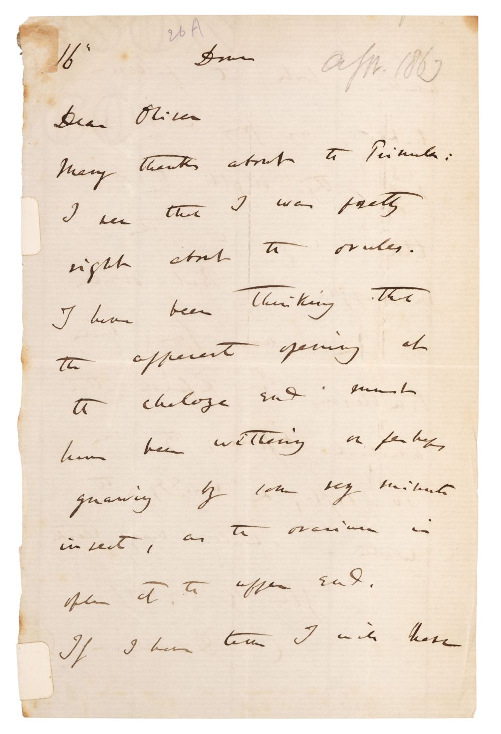 Darwin (Charles Robert, 1809-1882). Autograph Letter Signed, 1863 - Bild 2 aus 3