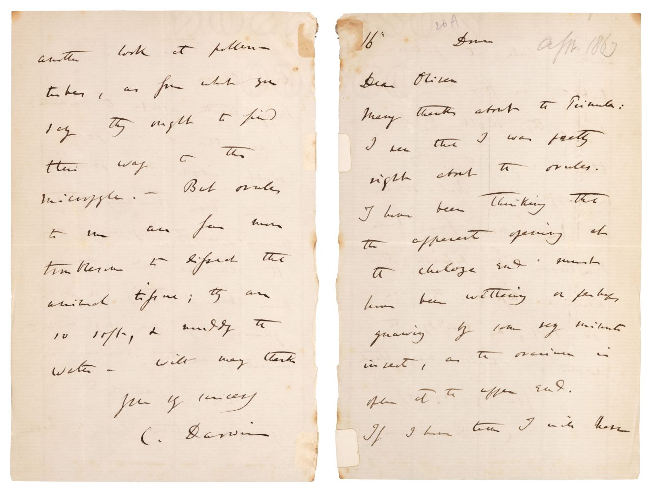 Darwin (Charles Robert, 1809-1882). Autograph Letter Signed, 1863