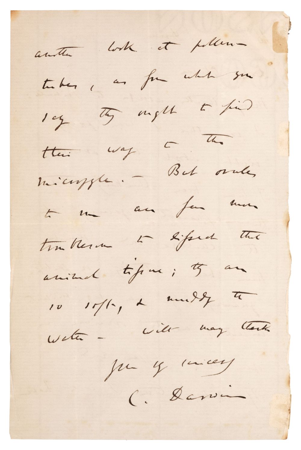 Darwin (Charles Robert, 1809-1882). Autograph Letter Signed, 1863 - Bild 3 aus 3