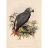 Keulemans (John Gerard). A Natural History of Cage Birds, parts 1 - 3 (only of 4), 1871