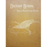 Natural history. A collection of late 19th & early 20th-century natural history references.