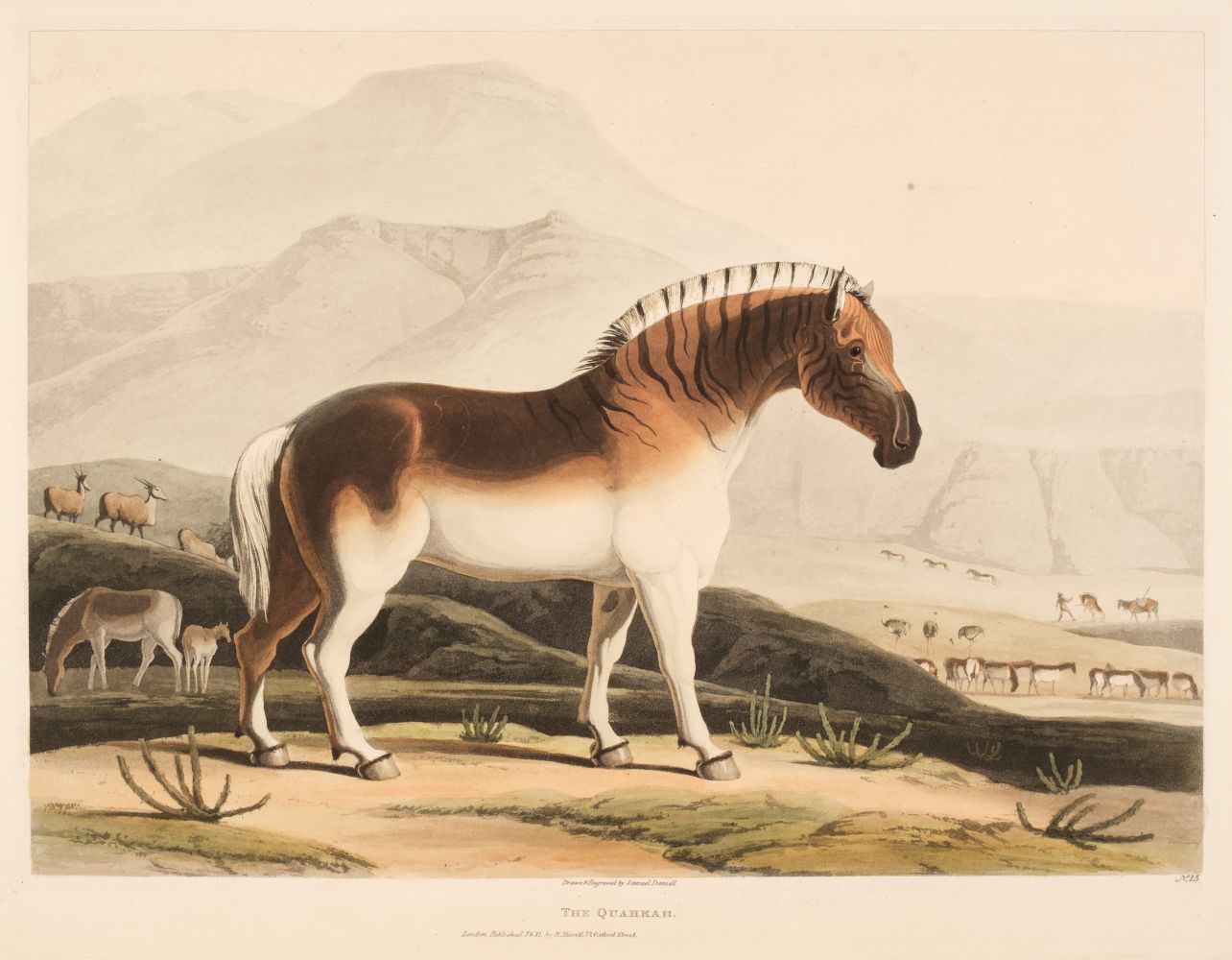 Daniell (Samuel). The Quahkah [and] The Koodoo R. Havell, 1831