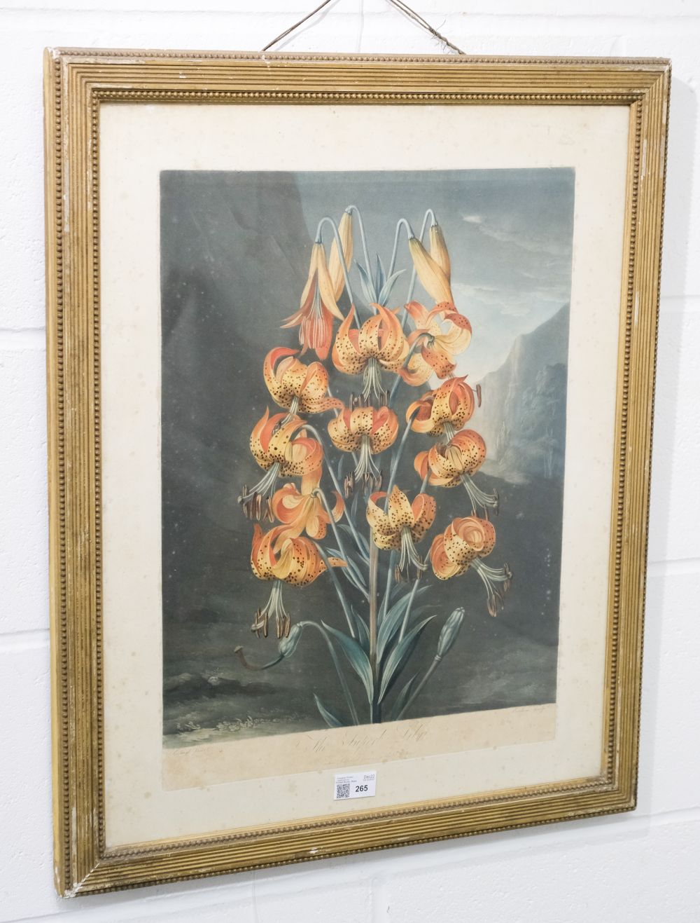 Thornton (Dr Robert). The Superb Lily, June 1st. 1799 - Image 2 of 5