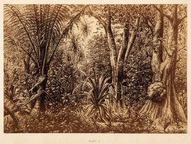 Kittlitz (F. H. von). Twenty-four Views of the Vegetation... Coasts and Islands of the Pacific,