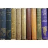 Illustrated Literature. A large collection of late 19th & early 20th-century illustrated literature