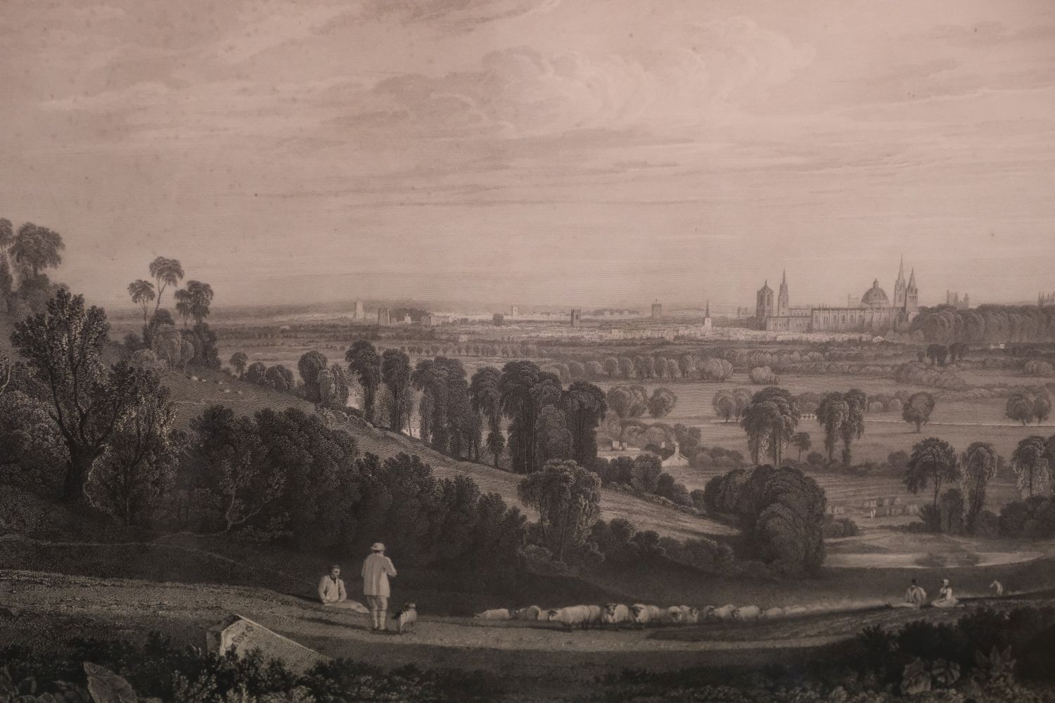 Oxford. Pye (John), A View of Oxford from the Abingdon Road..., 1818 - Image 7 of 7