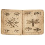 Langley (E., publisher). The History of Insects in Miniature, and others