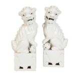 A PAIR OF CHINESE BLANC DE CHINE DOGS OF FO