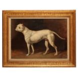 JOHN FERNELEY (1782-1860) 'Rattler - A Staffordshire Bull Terrier'
