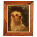 THOMAS EARL (fl. 1836-1885) Study of a terrier