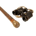 A ROYAL SUSSEX REGIMENT ENAMEL & BRASS TOP WALKING STICK