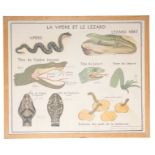 A FRENCH EDUCATIONAL POSTER 'LA VIPERE ET LE LEZARD'