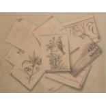 FRENCH SCHOOL, 19TH CENTURY A trompe l'oeil style drawing