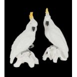 A PAIR OF STAFFORDSHIRE PORCELAIN COCKATOO