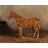 P.C. ROOPER (?- EARLY 20TH CENTURY), PORTRAIT OF A CHESTNUT MARE IN A STABLE