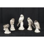 CICELY LUSHINGTON: A GROUP OF FIVE STONEWARE STUDIES OF BIRDS OF PREY