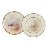 TWO ROYAL DOULTON BONE CHINA 'ORNITHOLOGICAL' CABINET PLATES