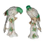 A PAIR OF PORCELAIN CHELSEA STYLE PARROTS