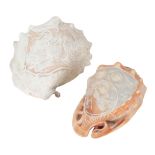 TWO CAMEO CARVED SHELLS