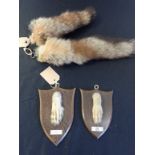 TWO MOUNTED FOX PAWS BY R. SPICER & SONS