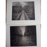 BETH DOW, (B.1964): TWO PHOTOGRAPHS, 'GIRL AND BOY, SISSINGHURST'