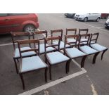 A SET OF TEN REPRODUCTION REGENCY STYLE MAHOGANY DINING CHAIRS