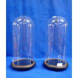 A PAIR OF GLASS DOMES