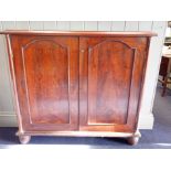 A 19TH CENTURY MAHOGANY CUPBOARD