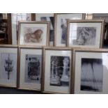 A SERIES OF FRAMED PHOTOGRAPHIC PRINTS