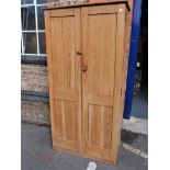 A 19TH CENTURY STRIPPED PINE CUPBOARD