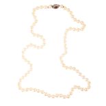 A SINGLE STRAND SIMULATED PEARL NECKLACE