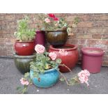 A QUANTITY OF GLAZED GARDEN POTS