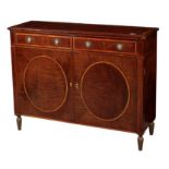 AN EDWARDIAN MAHOGANY SIDE CABINET