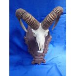 A RAM'S HEAD TROPHY