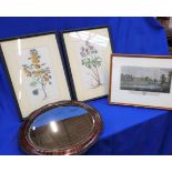 A PAIR OF BOTANICAL ENGRAVINGS, FRAMED