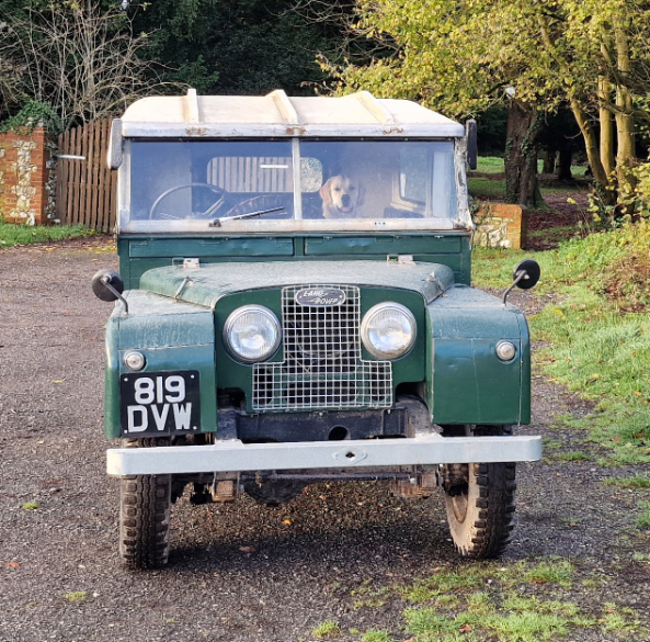 1955 LAND ROVER SERIES 1, 86 INCH WHEELBASE - Bild 14 aus 23