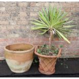 A LATTICEWORK PATTERN TERRACOTTA GARDEN POT