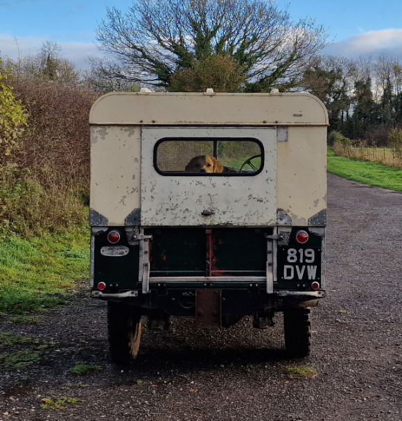 1955 LAND ROVER SERIES 1, 86 INCH WHEELBASE - Bild 16 aus 23