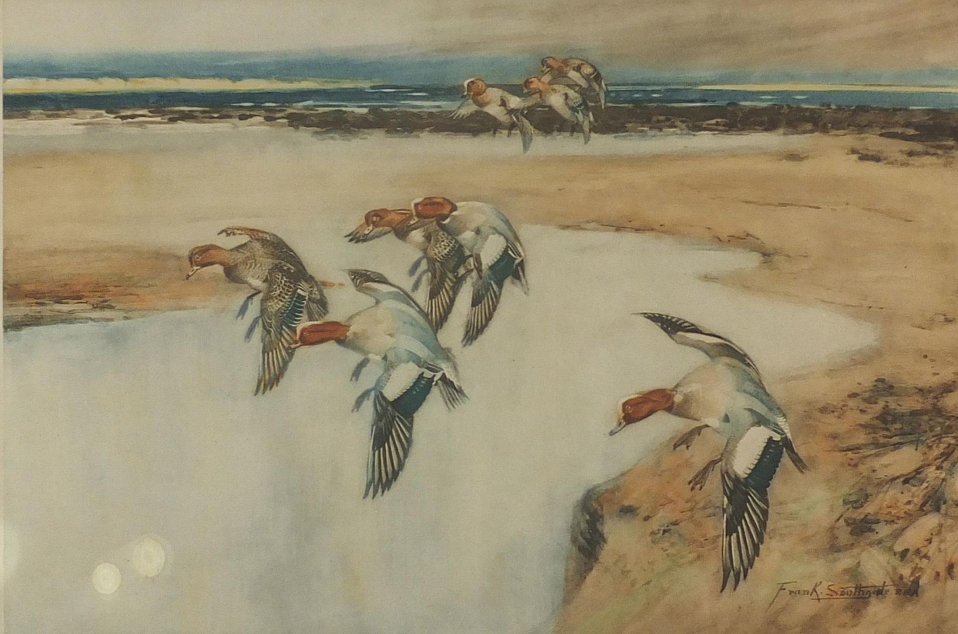Frank Southgate - Game birds, pencil signed lithograph in colour, mounted and framed, 46cm x 32cm