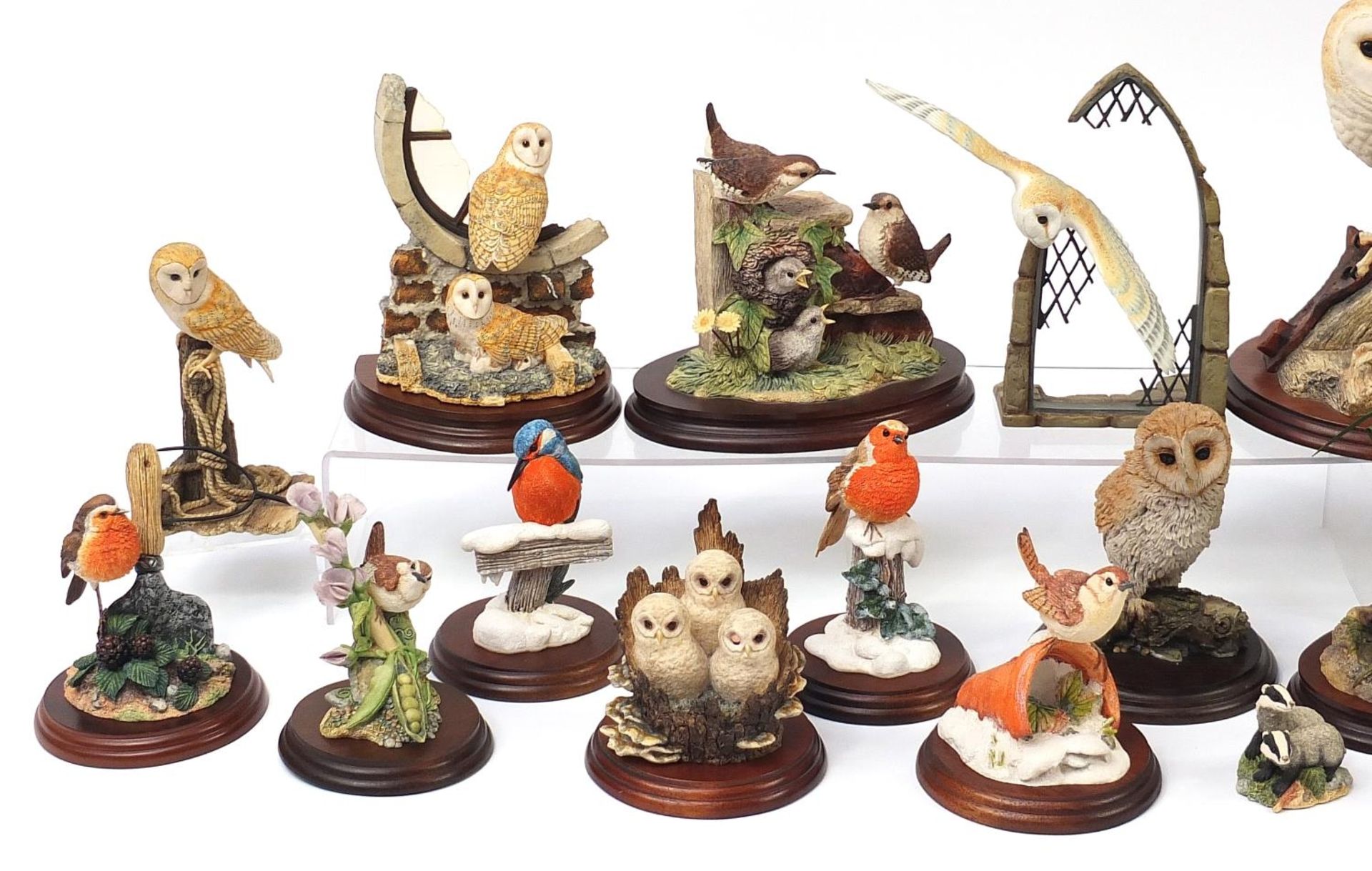Predominantly Border Fine Arts model animals on stands including birds and a group of foxes titled - Bild 2 aus 5