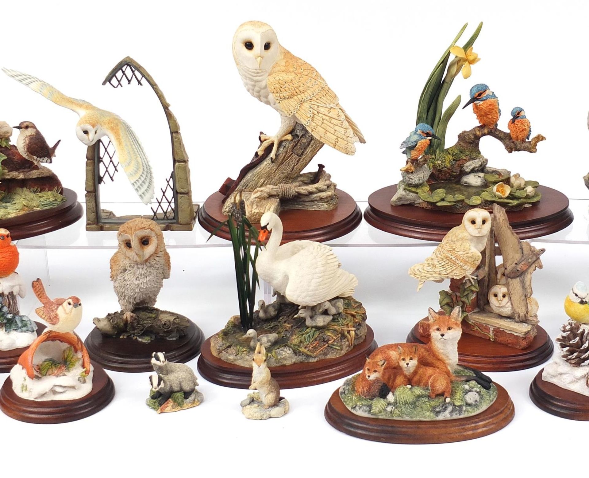 Predominantly Border Fine Arts model animals on stands including birds and a group of foxes titled - Bild 3 aus 5